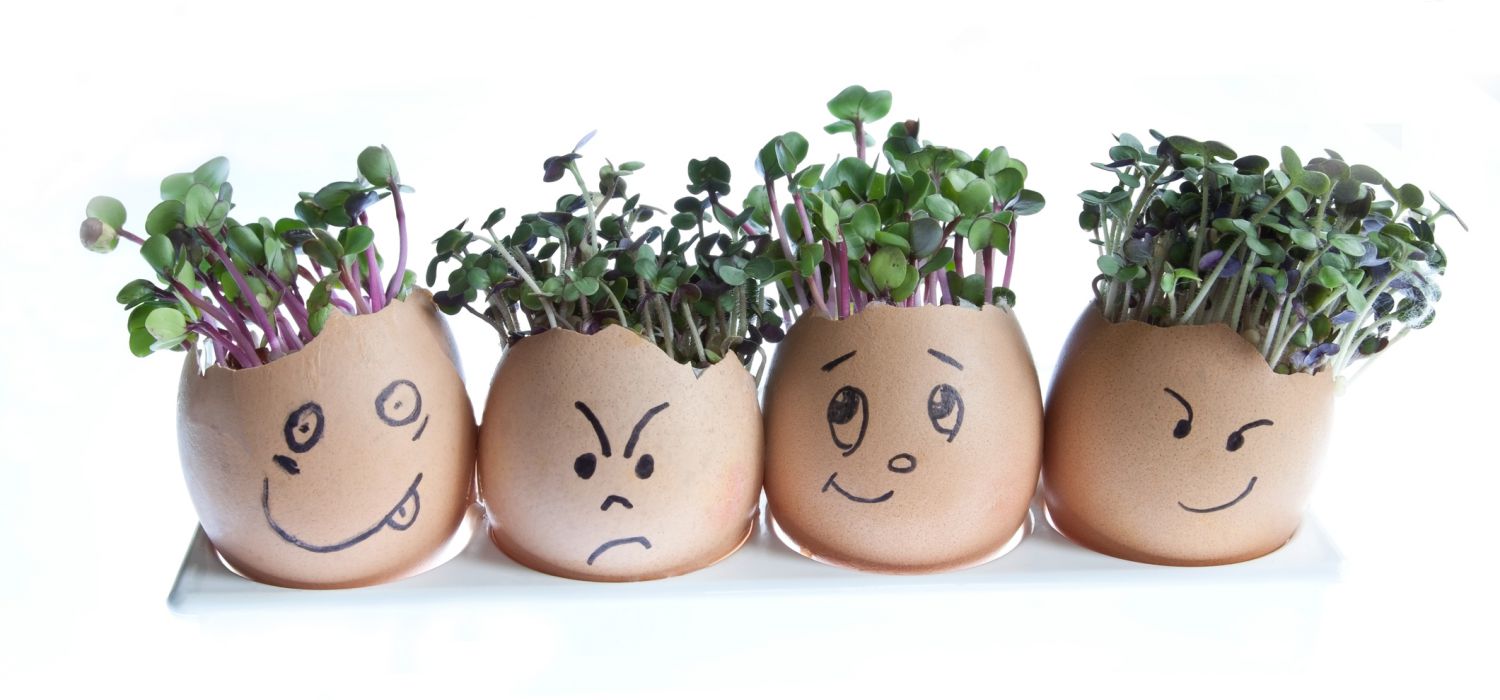 No need to walk on eggshells these Easter holidays