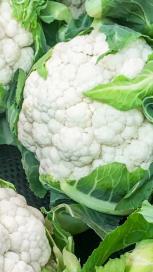 https://www.maggi.co.nz/sites/default/files/styles/search_result_153_272/public/cauliflower-bites_0.jpg?itok=mbQf2okF