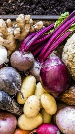 https://www.maggi.co.nz/sites/default/files/styles/search_result_153_272/public/what-is-a-serve-of-vegetables_0.jpg?itok=HHD8IgkZ